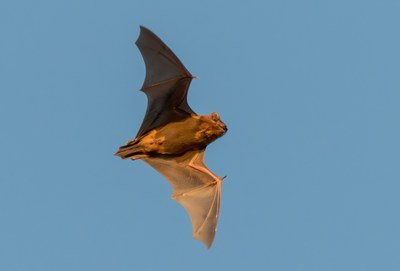 Foto © Samuel Schnierer