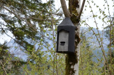 Foto © Wilfried Rieder