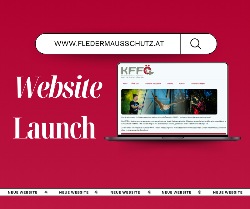 Die neue KFFÖ-website ist online!