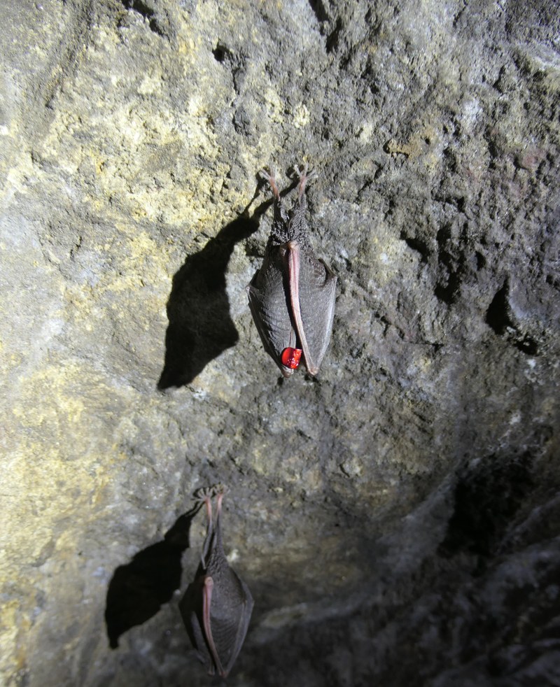 Wiedersehen nach 19 Jahren und 8 Monaten