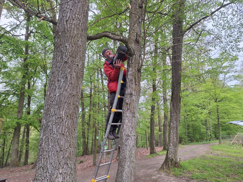 Ersatzquartiere bauen und betreuen