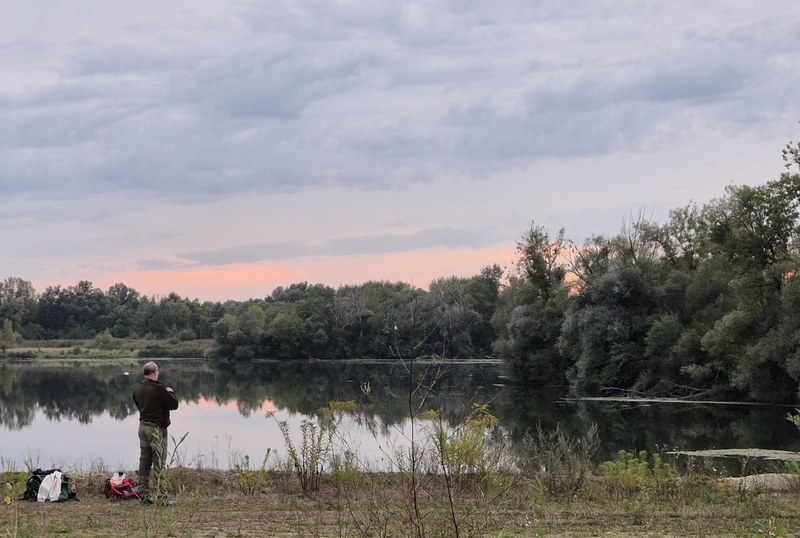 KFFÖ Abendsegler-Zählung 2026